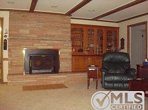 Den Fireplace