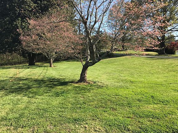 Front Lawn/Natural Area