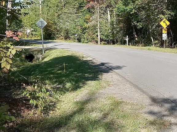 5th image of LOT 32 Garmish St