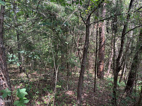 4th image of LOT 10 Red Bud Dr