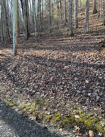 2nd image of 26 Soapstone Creek Cir