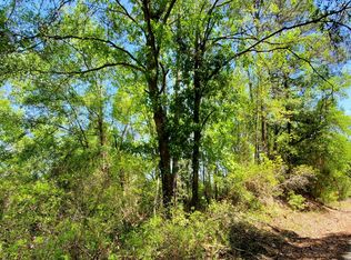 0 Wesley Rd LOT 22, Lee, FL 32059