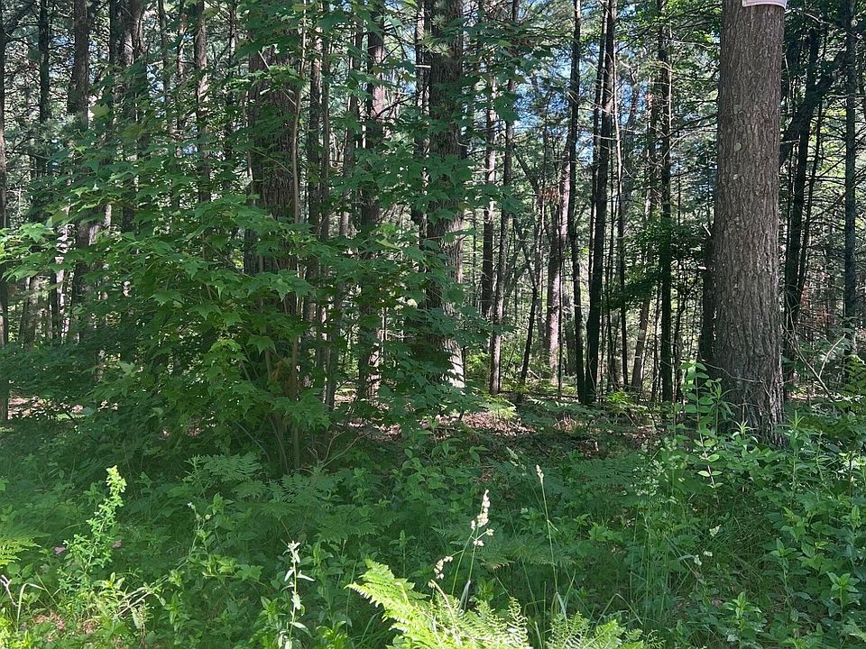 2nd image of Nash Rd