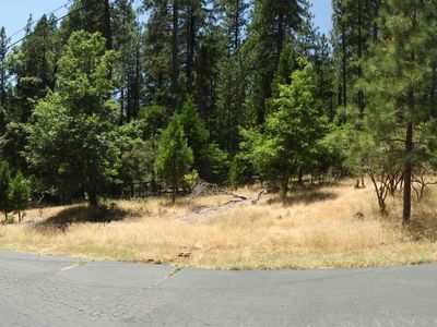 Speckled Rd, Pollock Pines, CA, 95726