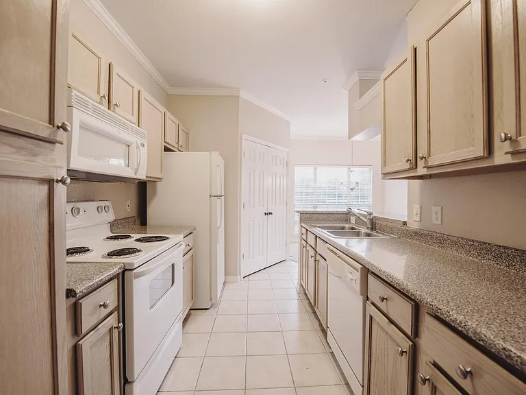 7800 Point Meadows Dr #1528 — Photo 9