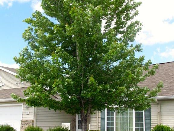 153027_4