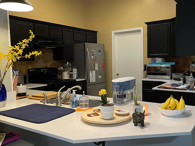 16816 Sabertooth Dr — Photo 18