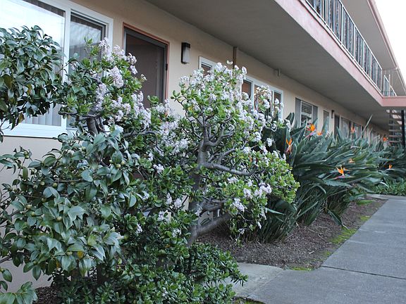 2nd image of 1375 Phelps Ave APT 3