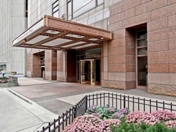161 E Chicago Ave APT 2402, Chicago, IL 60611