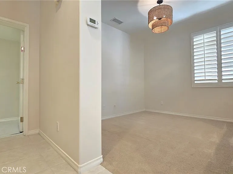 29 Carnation — Photo 14