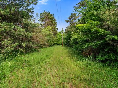 3745 Shaff Rd, Gaylord, MI, 49735