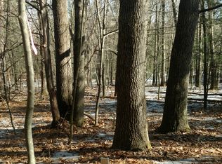 8918 Belding Rd NE, Rockford, MI 49341