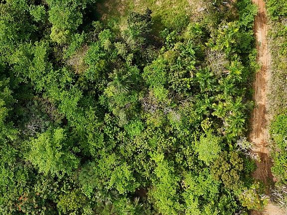 3rd image of 413 Int Rd