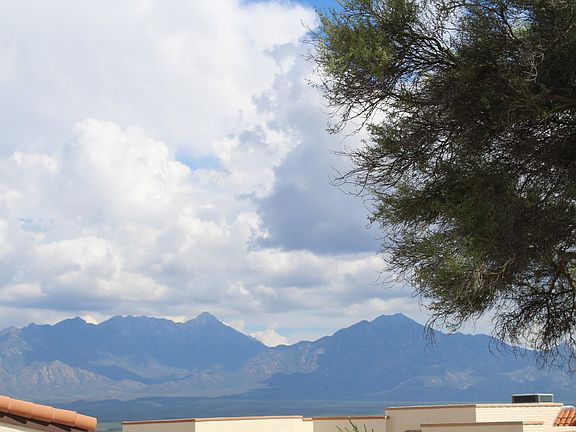 View from Back Patio