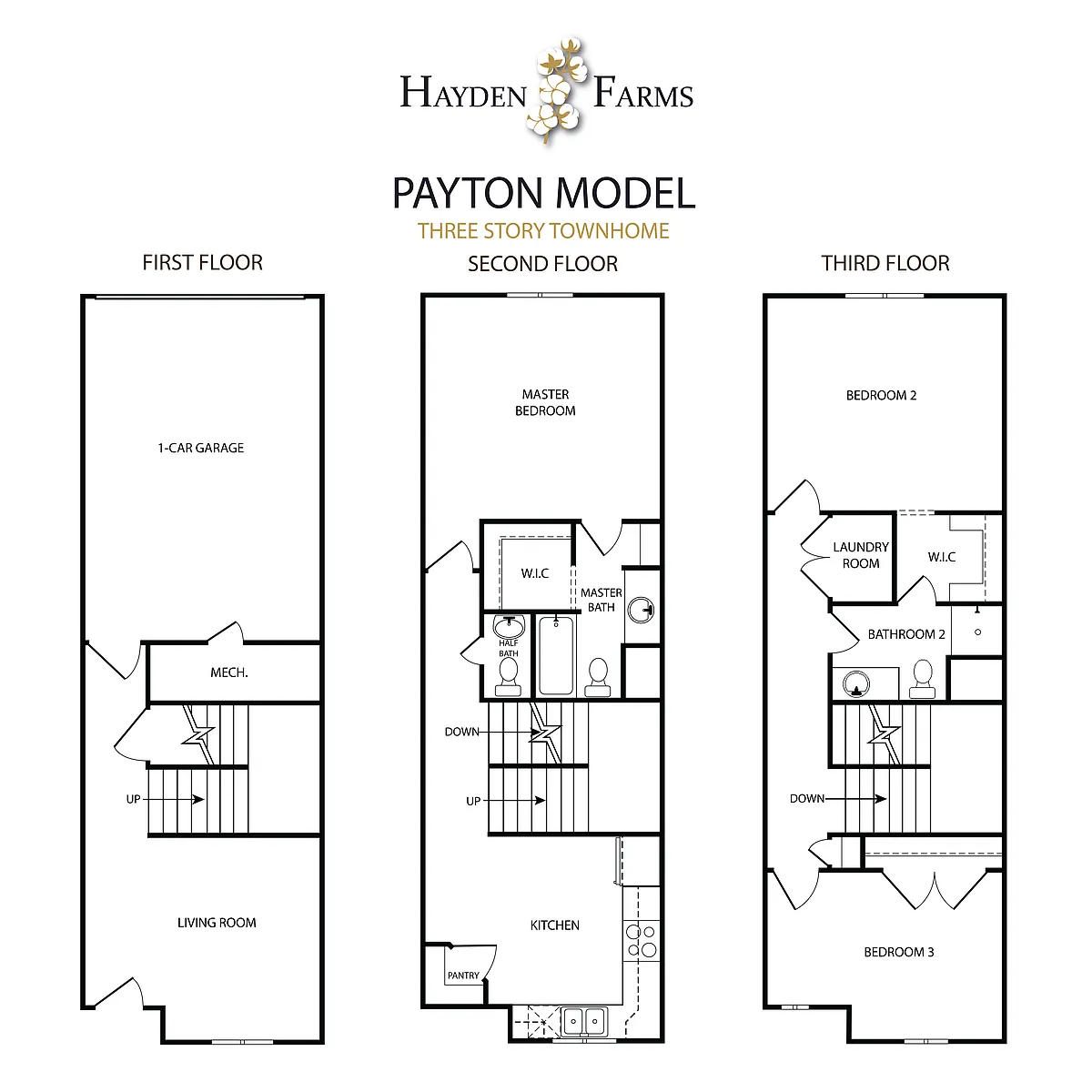 Floor plan 3-Story Payton