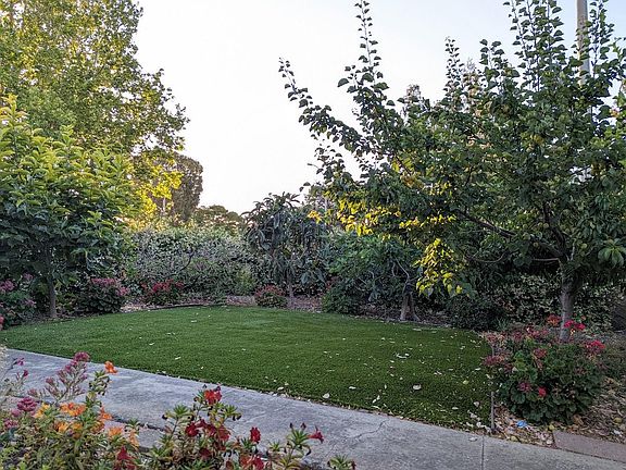 Front Yard