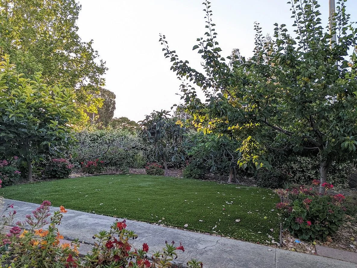 Front Yard - 3526 Benton St