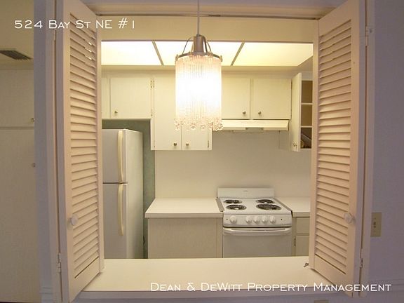 5th image of 524 Bay St NE APT 1