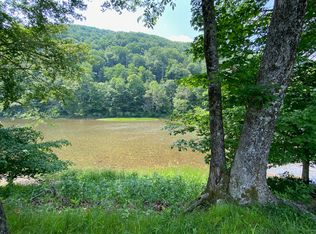 2 Riverwatch Ln, Buckeye, WV 24924