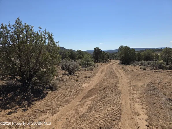 16 Road 40509, Navajo Dam, NM 87419