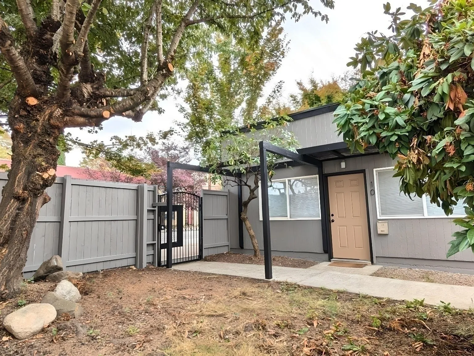 1 bed, 514 sqft, $1,300 — Photo 4