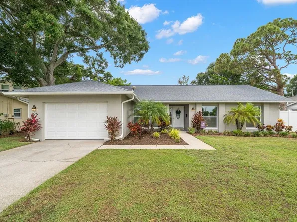 2219 Anastasia Way S, Saint Petersburg, FL 33712