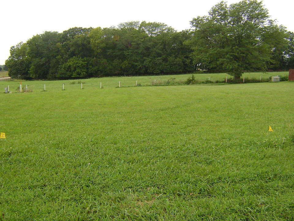 2nd image of 408 Turkey Run Cir