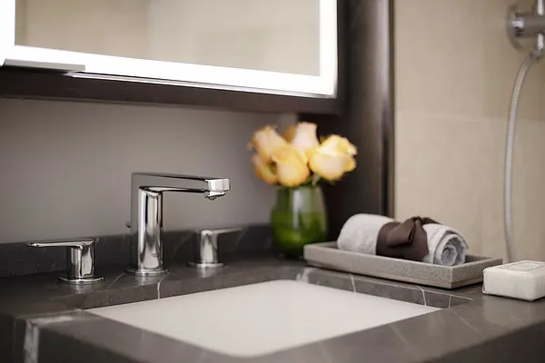 Rented by The Albanese Organization | media 6