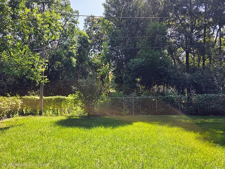 173 Dunn Ave — Photo 23