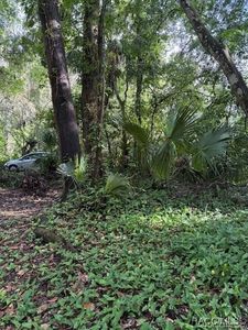 9379 E Tin Pan Aly, Inverness, FL, 34453