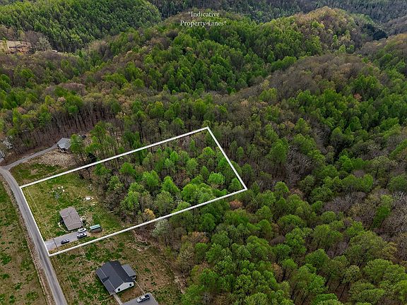 5th image of 1399 Adamson Branch Rd Lot 5