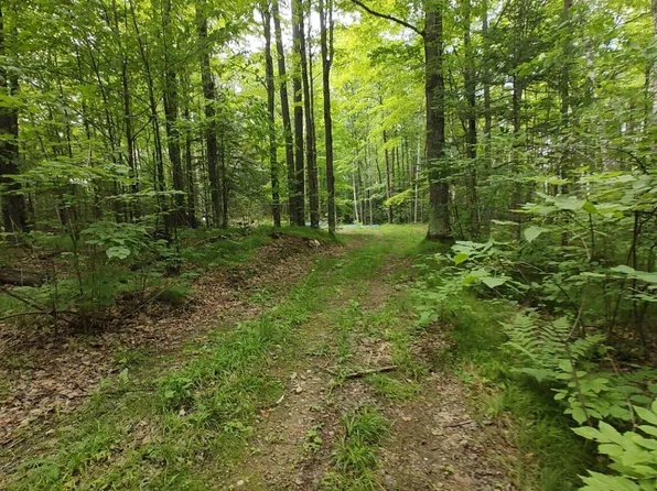 2580 Deer Ln, Pelican Lake, WI 54463