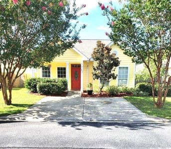 171 Water Oaks Loop, Santa Rosa Beach, FL, 32459
