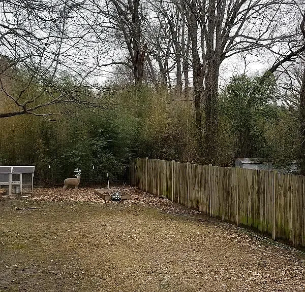 528 Whitfield St — Photo 3