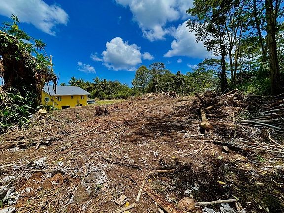 2nd image of Honu St Lot 7