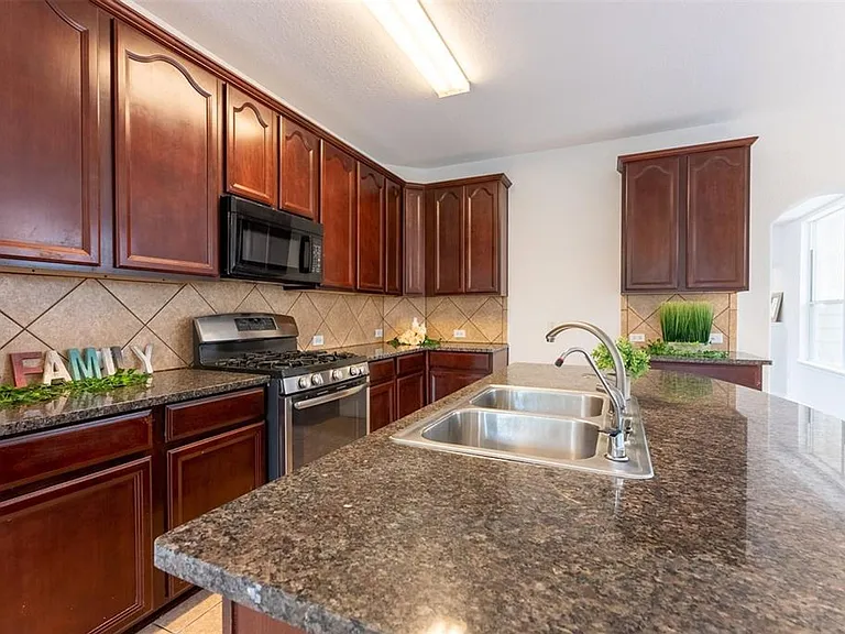 21706 Spring Vine Ln — Photo 6