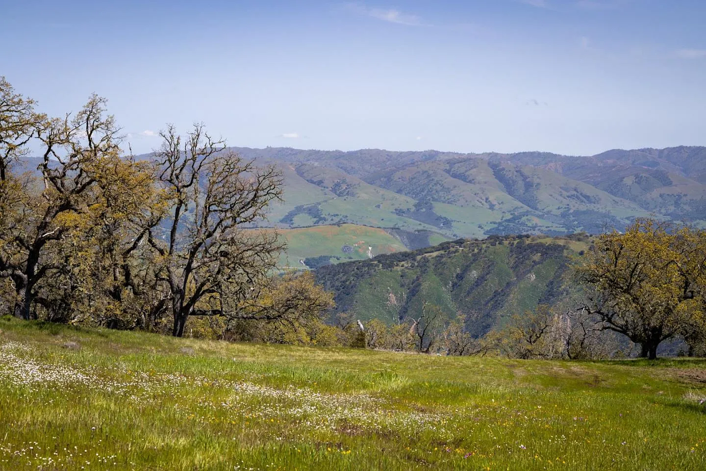 26 Long Ridge Trl photo 1
