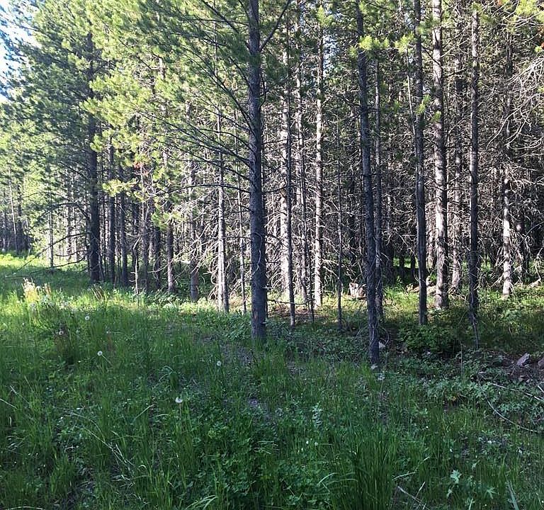 2nd image of 3780 Windy Pine Ln