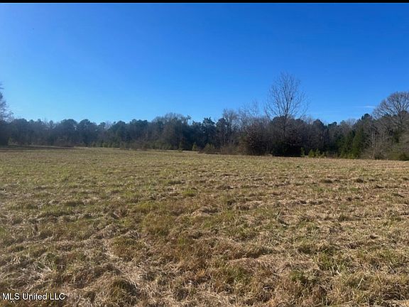 4th image of 170 Camden Rd