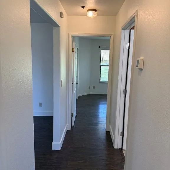 7420 Clement Rd — Photo 51