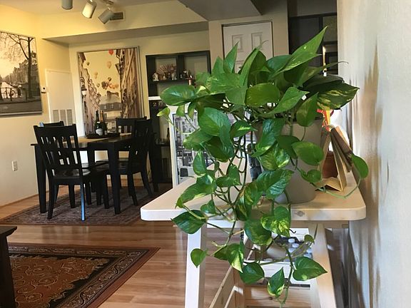 4th image of 3032 Parkway Blvd APT 304