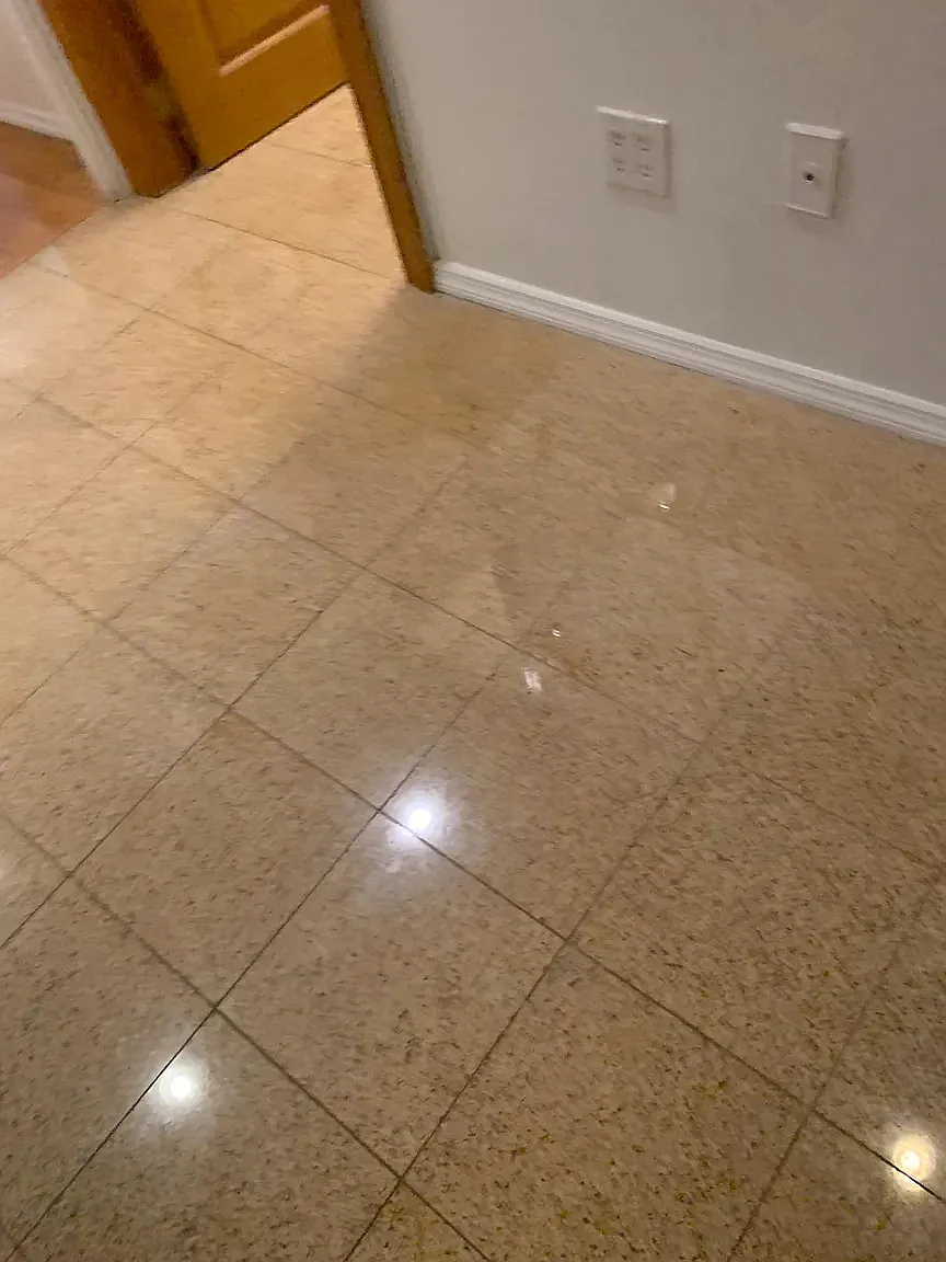 2 bed, 900 sqft, $3,200 — Photo 4