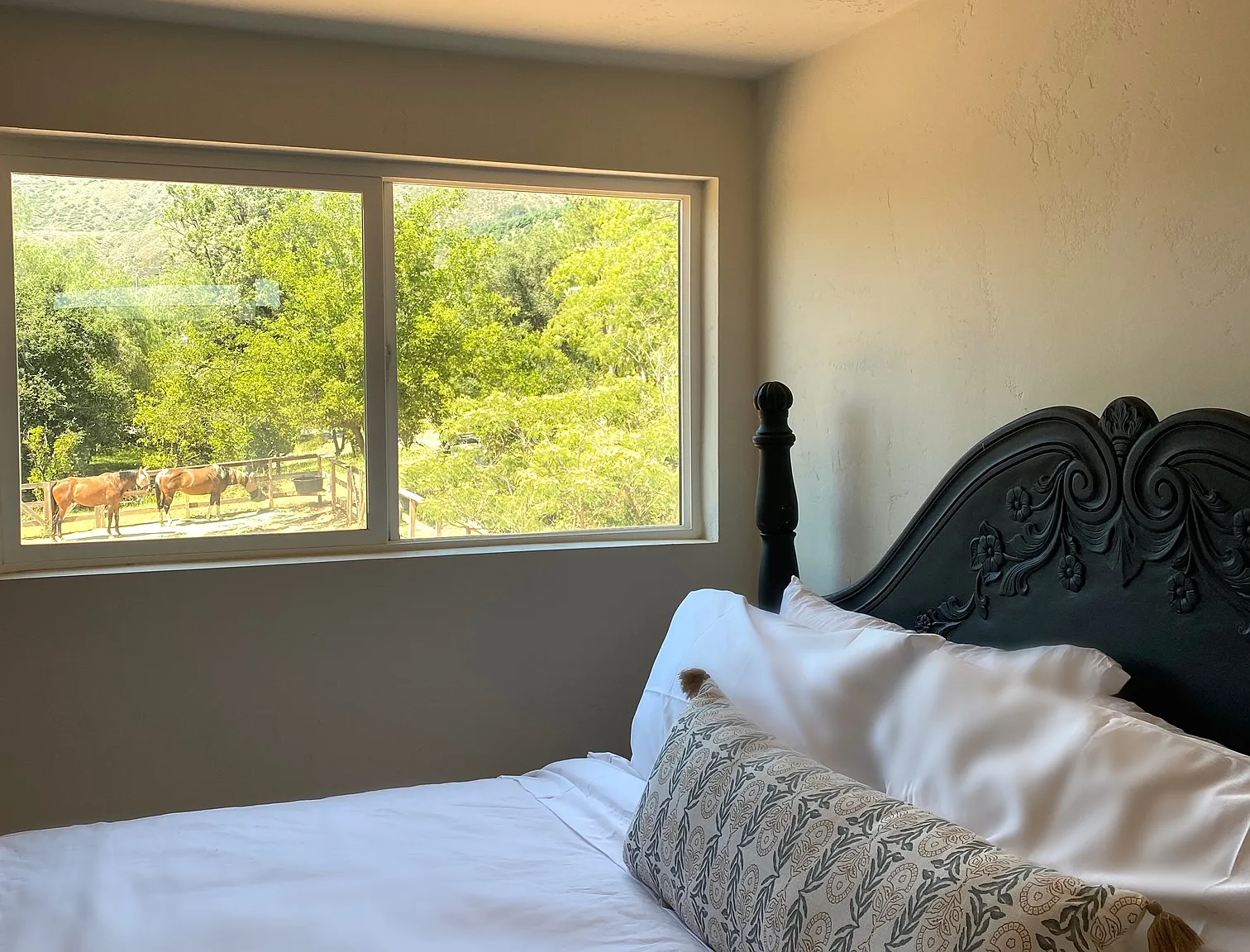 17436 N Mesa Dr — Photo 4