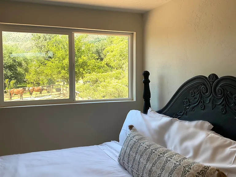17436 N Mesa Dr #2 — Photo 4