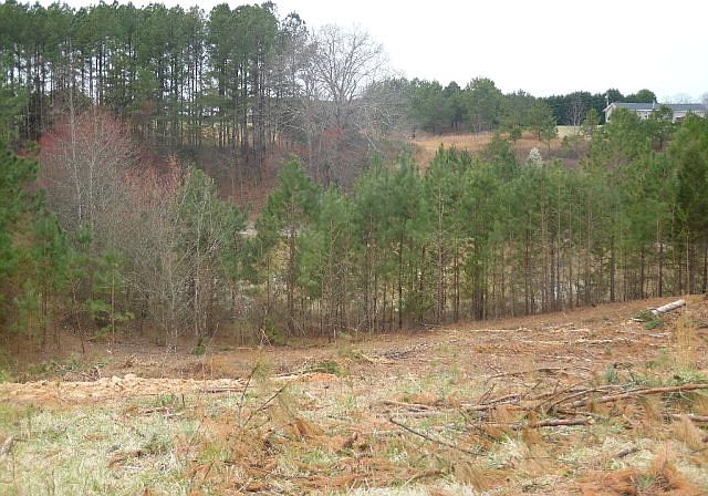 2nd image of 134 Douglas Dr