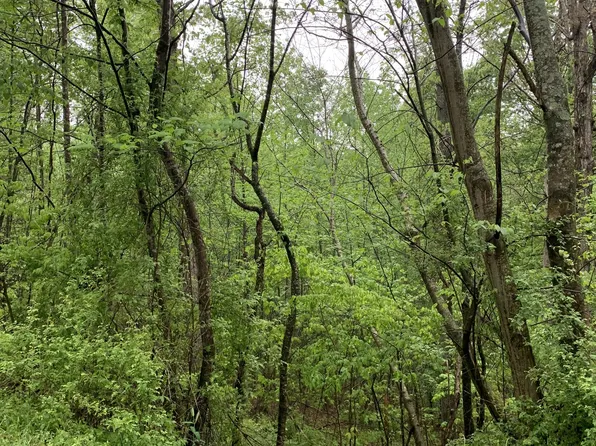 0 Four Star Point Lot 5, Smithville, TN 37166