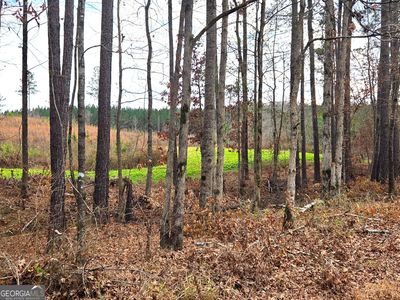 240 80th Hwy, Culloden, GA, 31016