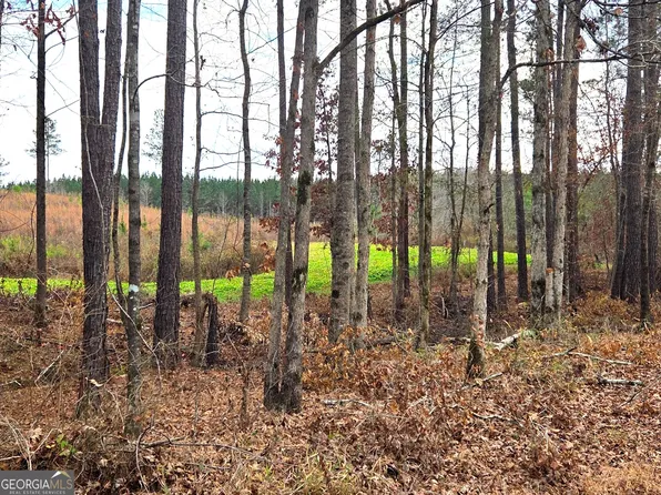 240 80th Hwy, Culloden, GA 31016