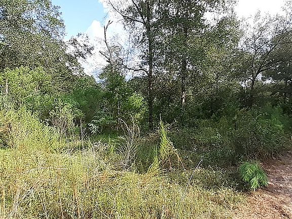 3rd image of 8292 Quarter Horse Ln