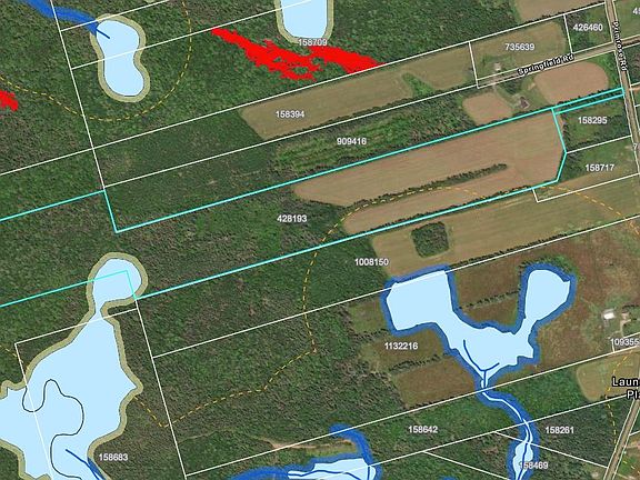 5th image of Primrose Rd